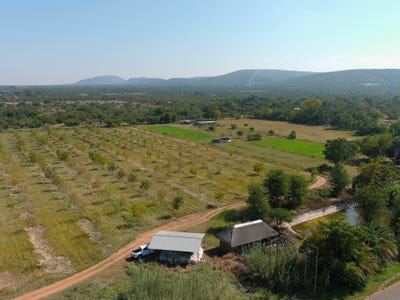 /international/za/bela-bela-limpopo-310108512529/