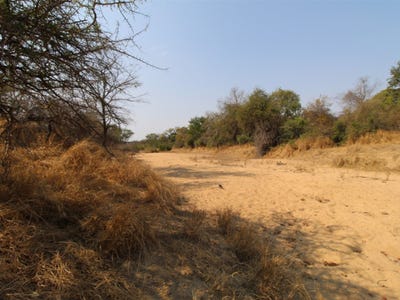 /international/za/hoedspruit-71-moditlo-wildlife-estate-limpopo-310108511910/