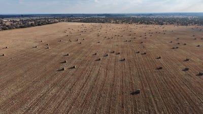 /international/za/bela-bela-limpopo-310108808559/?lang=zh-tw