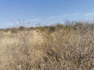 /international/za/bendor-limpopo-310108513559/
