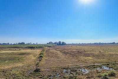 /international/za/kaalplaats-east-gauteng-310108513842/
