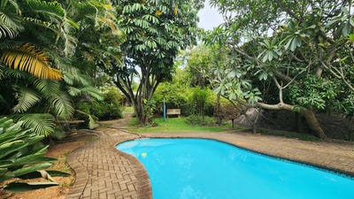 /international/za/alkmaar-mpumalanga-310108511811/