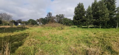 /international/za/bokmakierie-1-old-place-western-cape-310108521931/