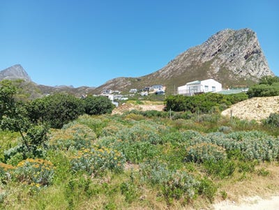 /international/za/ixia-road-71-rooi-els-western-cape-310108508236/
