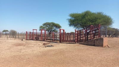 /international/za/bela-bela-limpopo-310108525251/