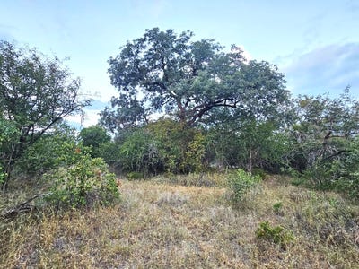 /international/za/hoedspruit-farm-52-moditlo-wildlife-estate-limpopo-310108511838/