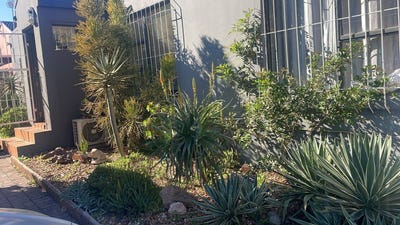 /international/za/vredenburg-western-cape-310108940241/?lang=fr