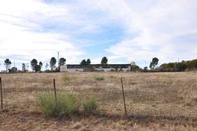 /international/za/rodenbeck-free-state-310108523736/