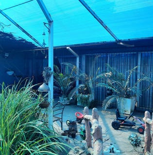 /international/za/rosashof-free-state-310108518410/