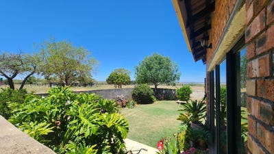 /international/za/doornbult-ah-limpopo-310108521717/
