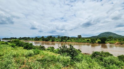 /international/za/malelane-mpumalanga-310108512118/
