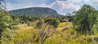/international/za/modimolle-limpopo-310108517195/