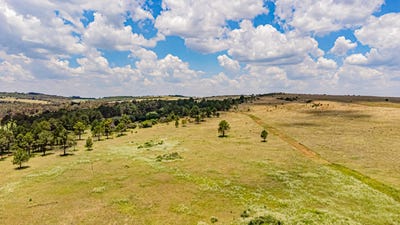 /international/za/walker-road-101-walker-fruit-farms-gauteng-310108517862/