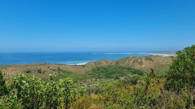 /international/za/brenton-on-sea-brenton-on-sea-western-cape-310108862860/?lang=fr