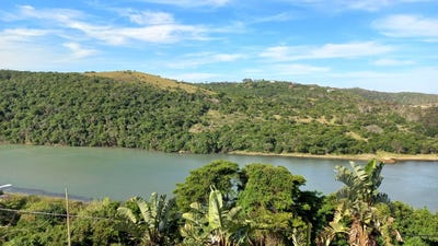 /international/za/gonubie-eastern-cape-310108513786/