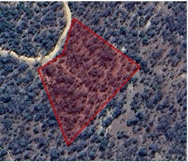 /international/za/moditlo-wildlife-estate-limpopo-310108512775/?lang=zh-cn