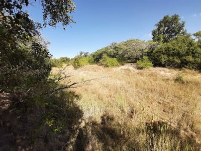 /international/za/moria-10-moditlo-wildlife-estate-limpopo-310108525005/