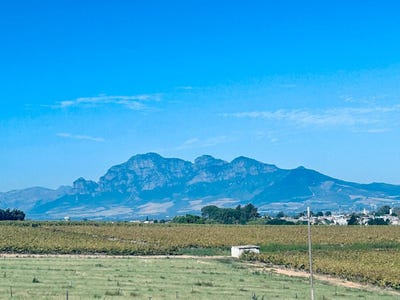 /international/za/klein-nederburg-western-cape-310109174692/