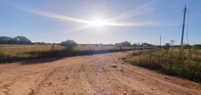 /international/za/doornbult-ah-limpopo-310108519229/
