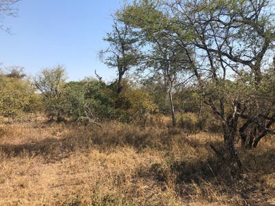 /international/za/hoedspruit-51-moditlo-wildlife-estate-limpopo-310108524997/
