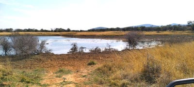 /international/za/mokopane-rural-limpopo-310108524536/