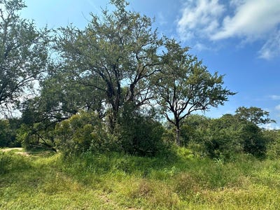 /international/za/moditlo-wildlife-estate-limpopo-310108519405/
