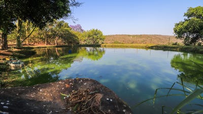 /international/za/r538-116-unit-116-white-river-ah-mpumalanga-310108525317/