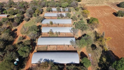 /international/za/bela-bela-limpopo-310108939440/