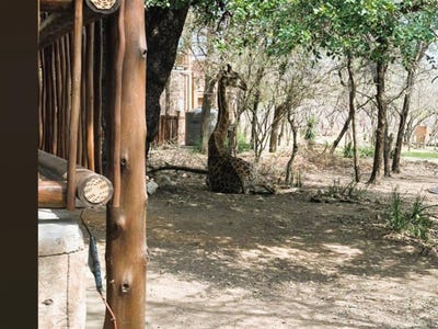 /international/za/marloth-park-mpumalanga-marloth-park-mpumalanga-310107321541/