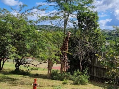 /international/za/uitsig-landgoed-estate-nelspruit-mpumalanga-nelspruit-mpumalanga-310106994150/