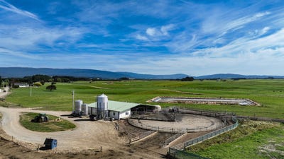 /international/nz/the-narrows-road-riverton-southland-320108326537/