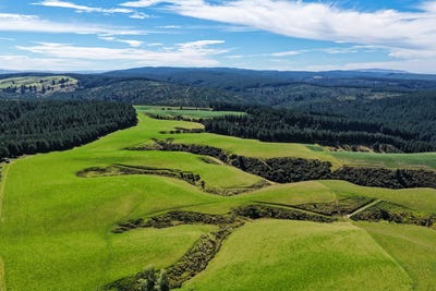 /international/nz/waitahuna-gully-road-lawrence-otago-320106507570/