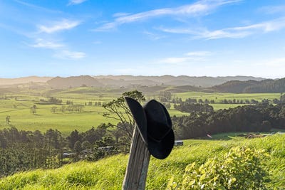 /international/nz/whareora-road-whareora-northland-320100951937/