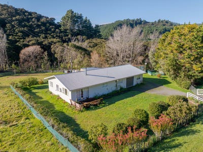 /international/nz/masterton-castlepoint-rd-castlepoint-wellington-320101440176/