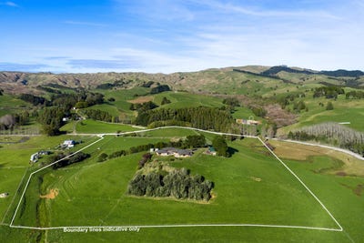 /international/nz/pond-road-raglan-waikato-320108528126/