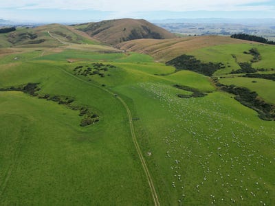 /international/nz/strathearn-road-wairuna-otago-320108185558/