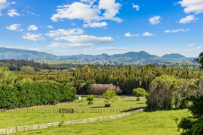 /international/nz/snooks-road-maungatapere-northland-320107706047/