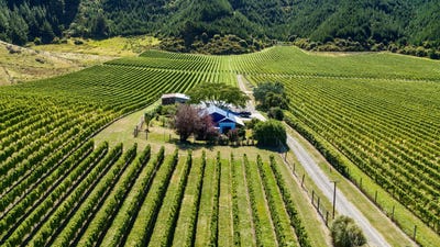 /international/nz/kaituna-tuamarina-road-renwick-marlborough-320106712733/