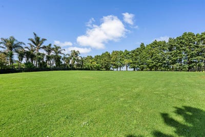 /international/nz/jounneaux-road-kamo-gisborne-320103284890/