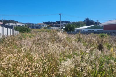 /international/nz/blackwater-street-bluff-southland-320108185215/