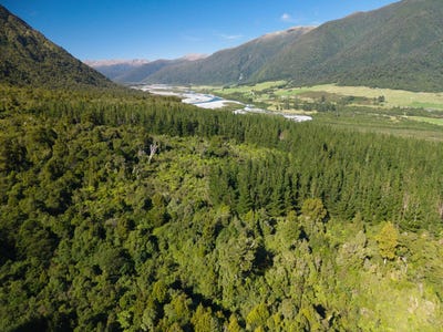 /international/nz/bell-hill-road-moana-west-coast-320107326236/