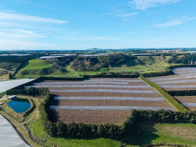 /international/nz/roydon-downs-road-paengaroa-bay-of-plenty-320101058583/