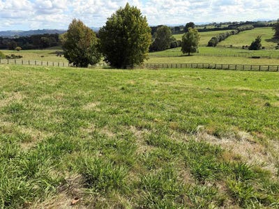 /international/nz/gillard-road-ohaupo-waikato-320108527702/