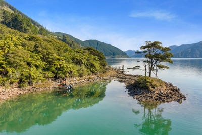 /international/nz/yncyca-bay-pelorus-sounds-marlborough-320107789279/