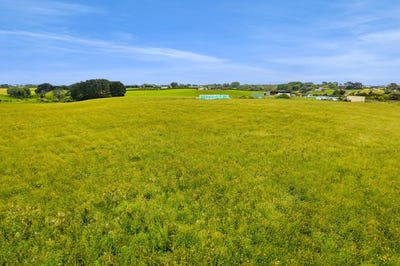/international/nz/turuturu-road-hawera-taranaki-320103586012/