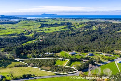 /international/nz/cames-road-mangawhai-northland-320108135151/