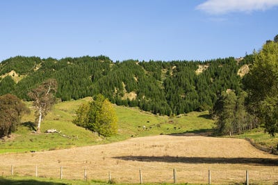 /international/nz/ormond-valley-road-ormond-gisborne-320098168795/