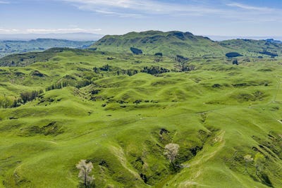 /international/nz/-1520-maraetotara-road-waimarama-hawke-s-bay-320103559666/