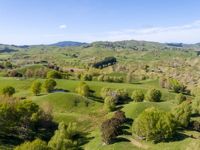 /international/nz/masterton-castlepoint-road-masterton-wellington-320107974729/