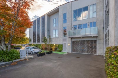 /international/nz/harley-street-nelson-nelson-320107705851/